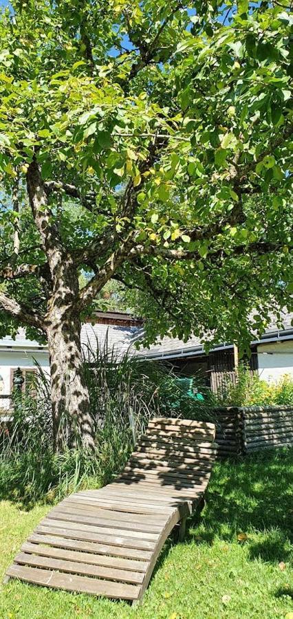 Appartements Maximilian Göstling an der Ybbs Εξωτερικό φωτογραφία